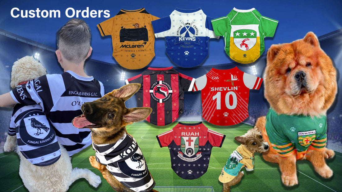 Custom Pet Jersey and Onesies - Bespoke and Unique Designs