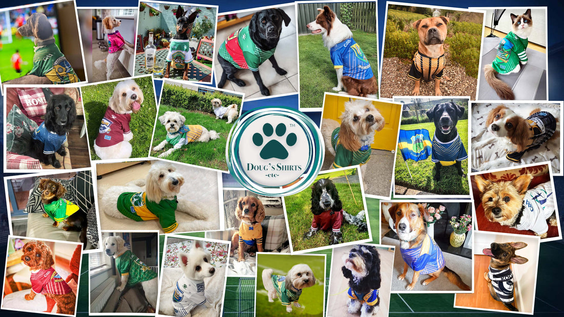 GAA Official Pet Jersey Collection