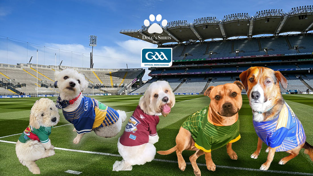 GAA Season 2023 is Heating Up! Pawsome Fans Be Ready To Cheer For Your County!