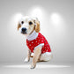 Heart Themed Dog Onesie, Jumper and Vest