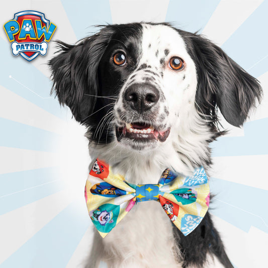 "All Paws In" Bowtie