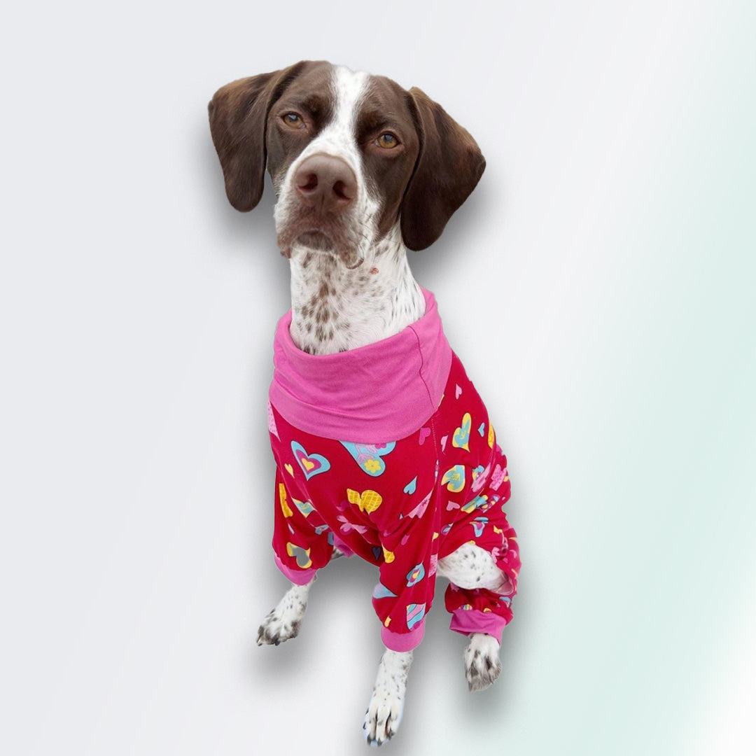 Heart Themed Dog Onesie, Jumper and Vest