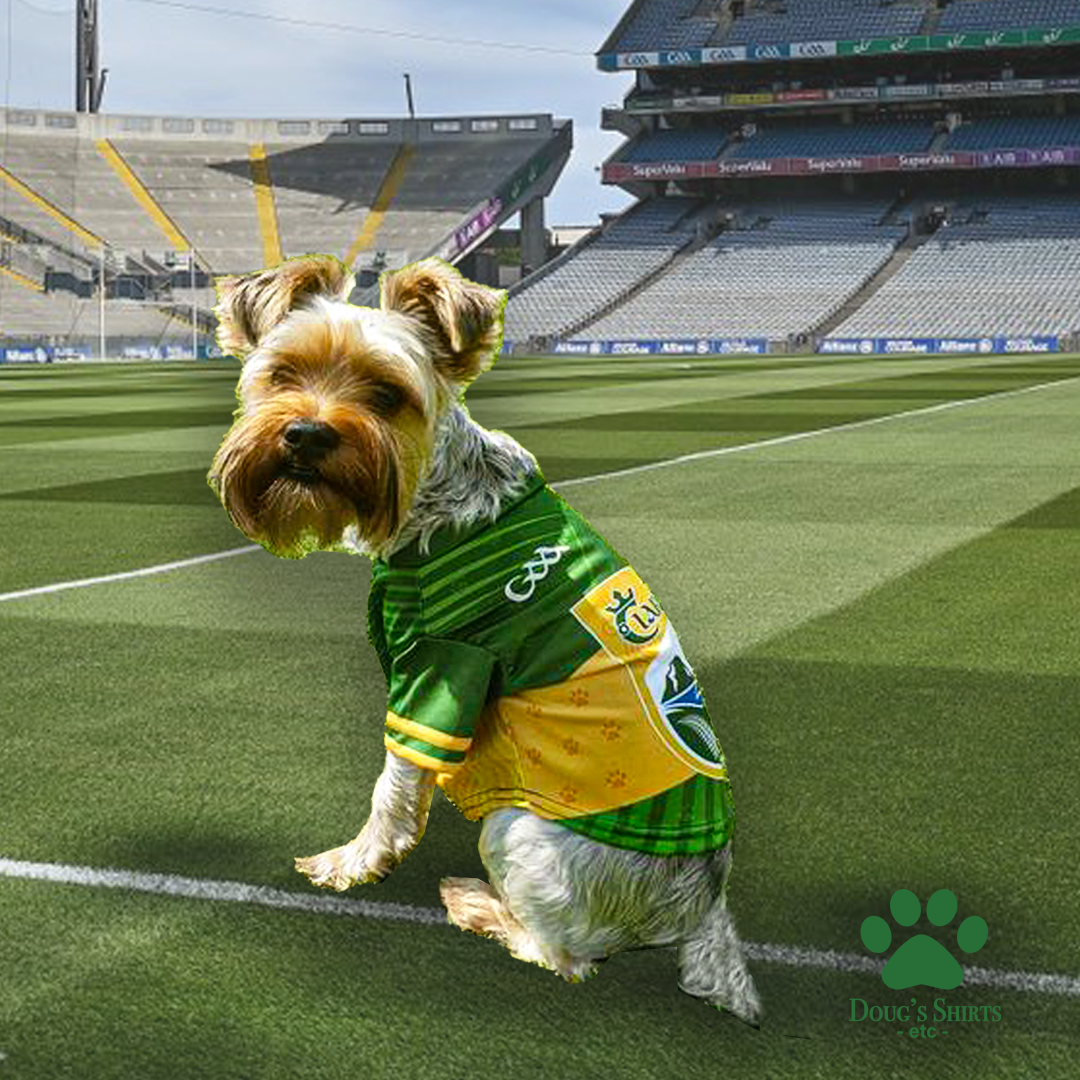 Kerry GAA Pet Jersey Dougs World