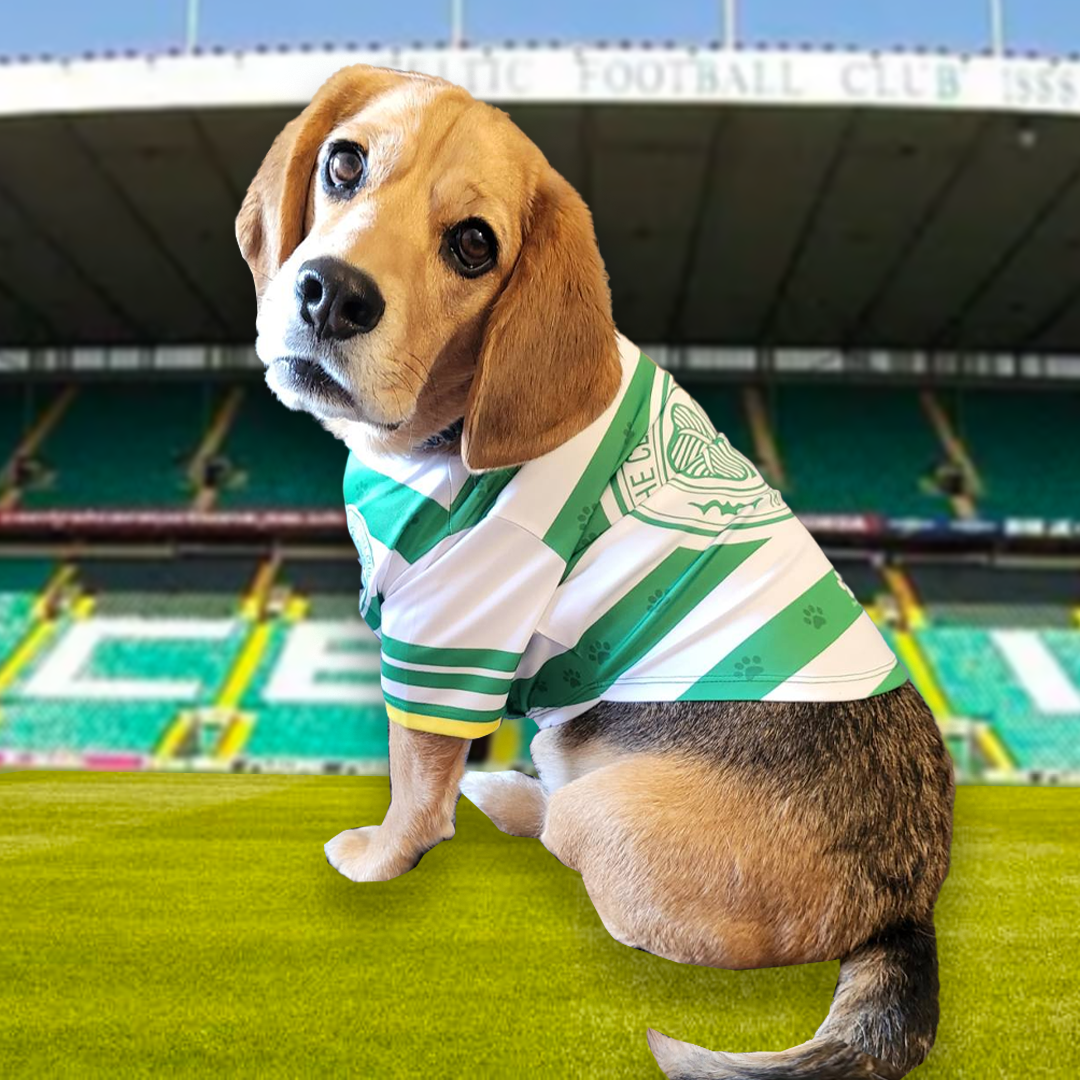 Celtic Football Team Shirt  Dog Celtic Football Club at Urban Pup