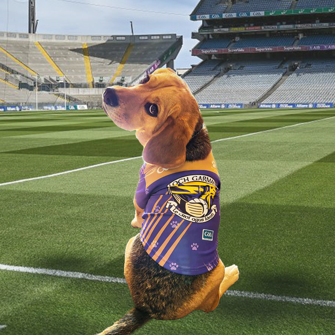 Wexford Pet Jersey