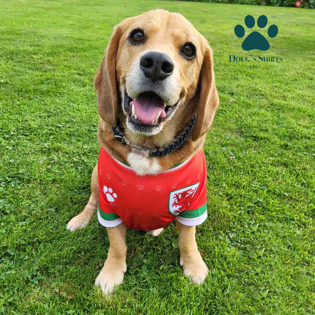 Dog football jerseys deals