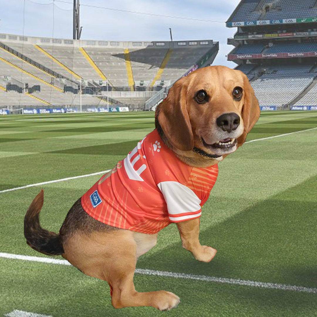 Louth GAA Pet Jersey