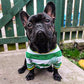 Celtic FC Official Pet Jersey