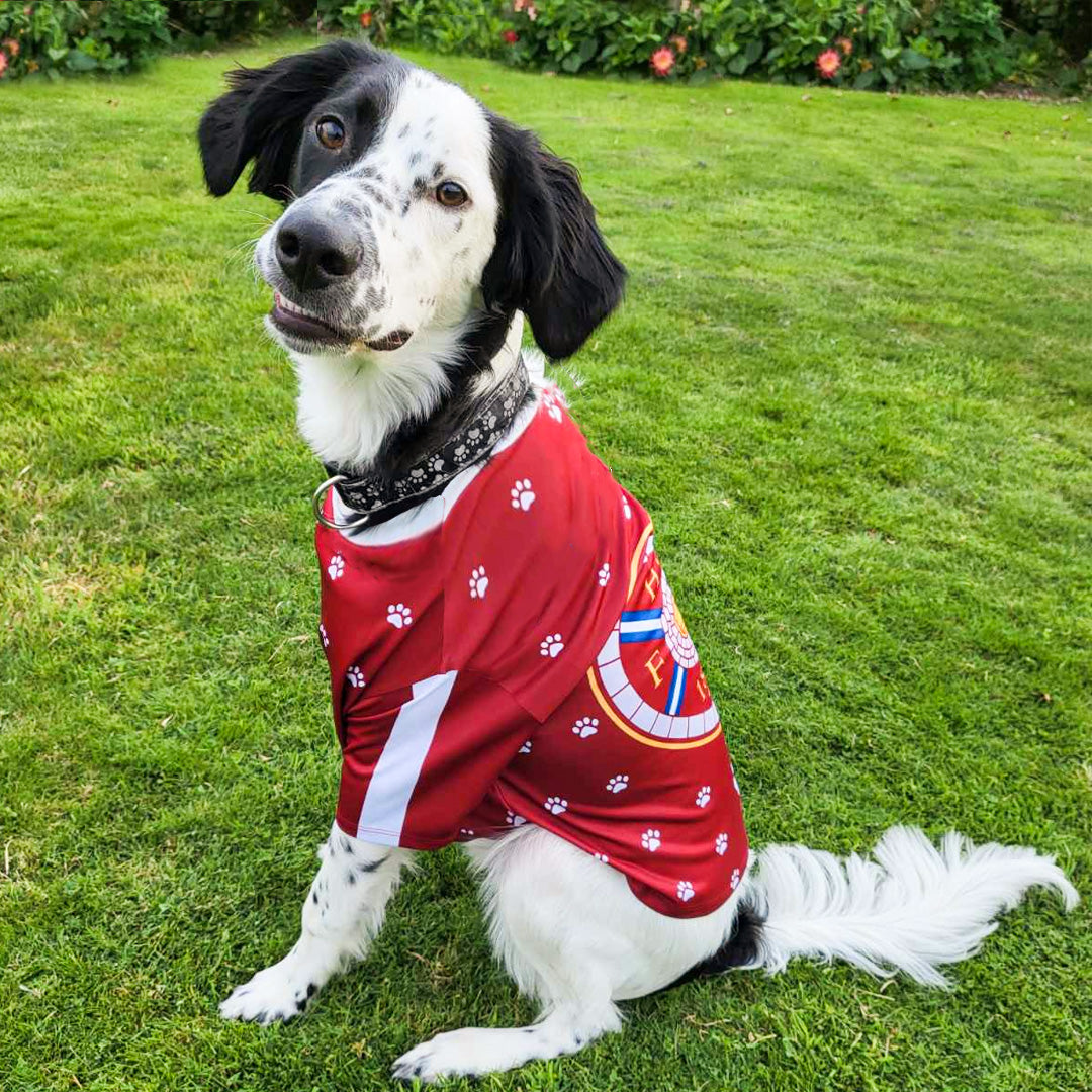 Hearts FC Pet Jersey (Order using the link below)