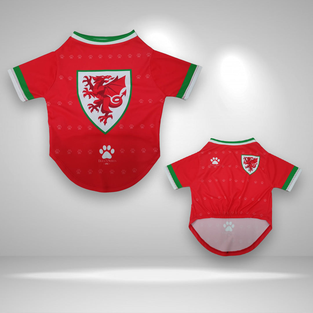 Wales Football Official Pet Jersey and Bandana